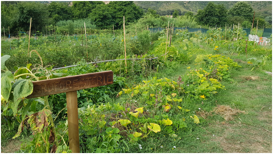 image-20